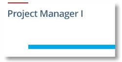 Project Manager I