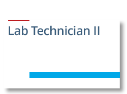 Lab Technician II